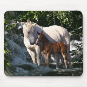 Fantastische paarden: Waterval Muismat