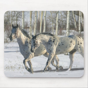 Fantastische paarden: Winter Wonderland Muismat