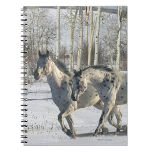 Fantastische paarden: Winter Wonderland Notitieboek
