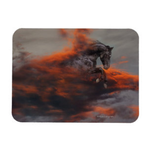 Fantastische paarden: Wolken Magneet