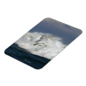 Fantastische paarden: Zee Magneet (Linkerzijde)