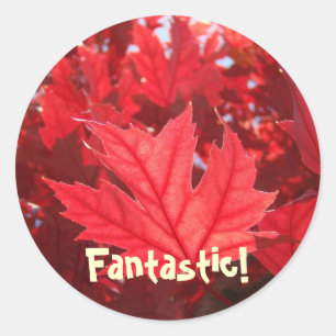 Fantastische rode herfstbladstickers Bladeren Natu Ronde Sticker