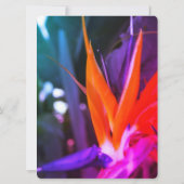 Fantastische vogel van het paradijselijk huwelijk kaart (Achterkant)