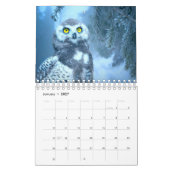Fantastische vogelfotografie kalender (Jan 2027)