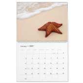 Fantastische zeester kalender (Jan 2027)