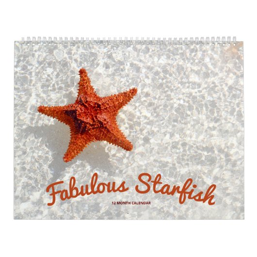 Fantastische zeester kalender (Hoes)