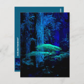 Fantasy Briefkaart (Voorkant / Achterkant)