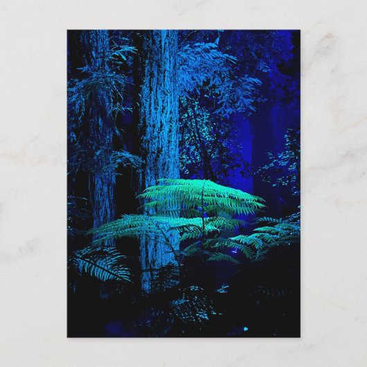 Fantasy Briefkaart (Voorkant)