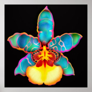 Fantasy Colored Orchid Flower Poster