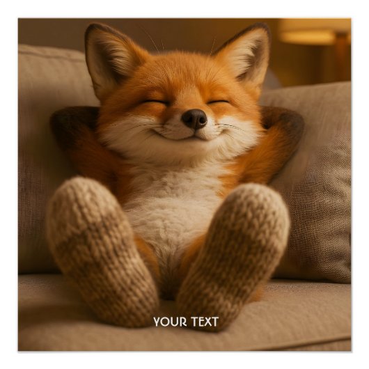 Fantasy Cute Fox And Socks Perfect Poster (Voorkant)