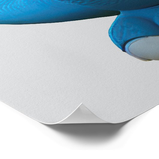 Fantasy Dinosaur Poster (Hoek)