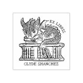 Fantasy Dragon Bookplate Rubberstempel (Afrduk)