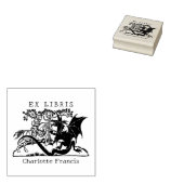 Fantasy Dragon Warrior,  ex libris boek Rubberstempel (Gestempeld)