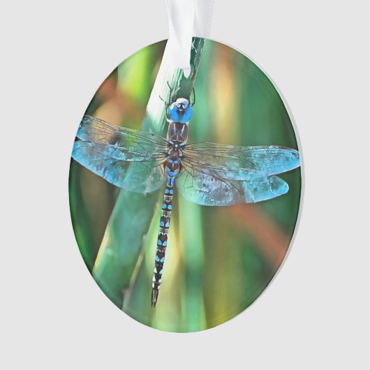 Fantasy Dragonfly (devant)