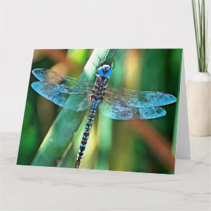Fantasy Dragonfly in Turquoise en Black Bedankkaart