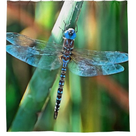 Fantasy Dragonfly in Turquoise en Black Douchegordijn (Voorkant)