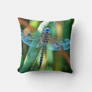 Fantasy Dragonfly in Turquoise en Black Kussen