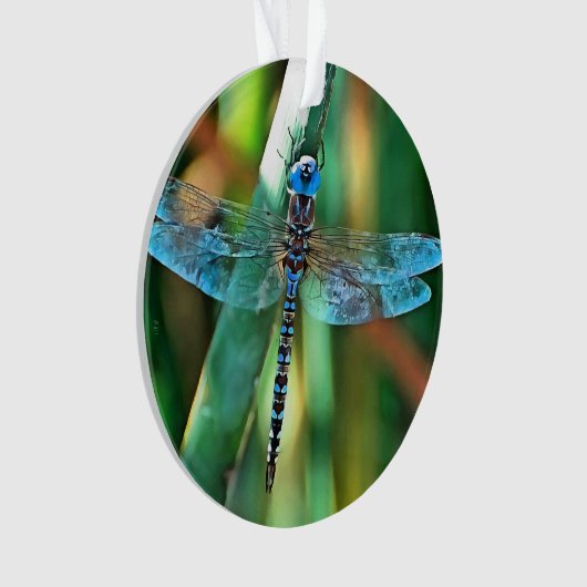 Fantasy Dragonfly in Turquoise en Black Ornament (voorkant)