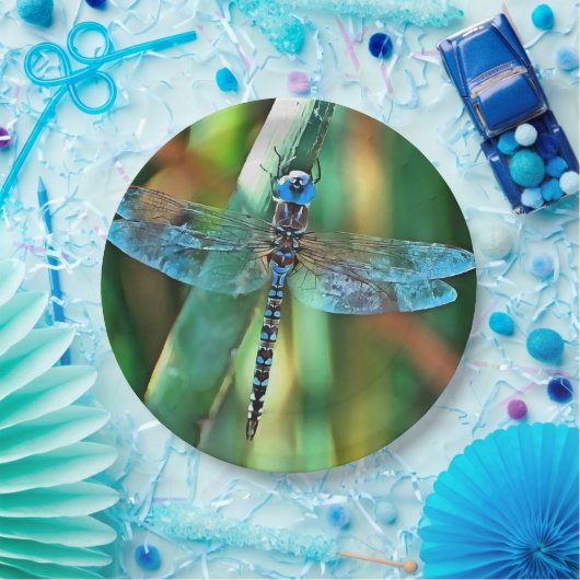 Fantasy Dragonfly in Turquoise en Black Papieren Bordje (Feest)