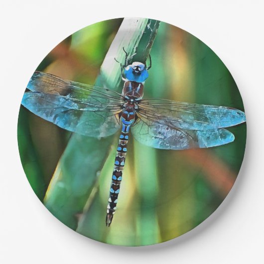 Fantasy Dragonfly in Turquoise en Black Papieren Bordje (Voorkant)