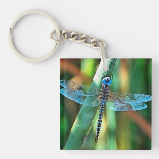 Fantasy Dragonfly in Turquoise en Black Sleutelhanger (Voorkant)