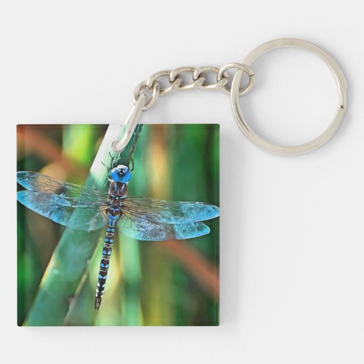 Fantasy Dragonfly in Turquoise en Black Sleutelhanger (Achterkant)
