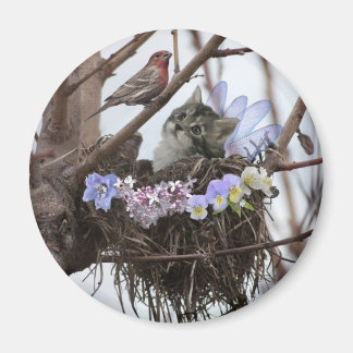 Fantasy fee kitten en vogelnest magneet