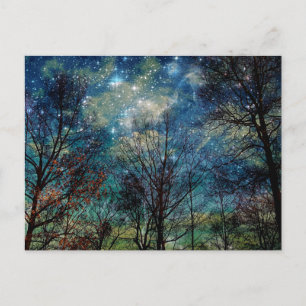 Fantasy Forest Celestial Bossen Night Stars Briefkaart