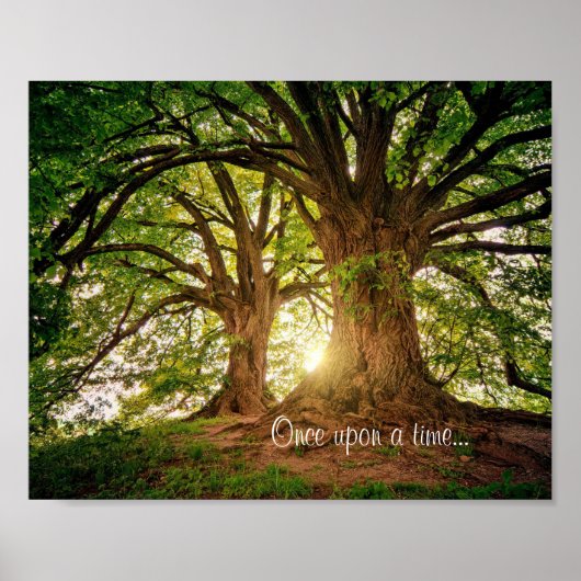 Fantasy Forest Poster (Devant)