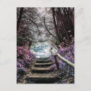 Fantasy Forest Steps Briefkaart