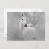Fantasy Horse Briefkaart (Voorkant / Achterkant)