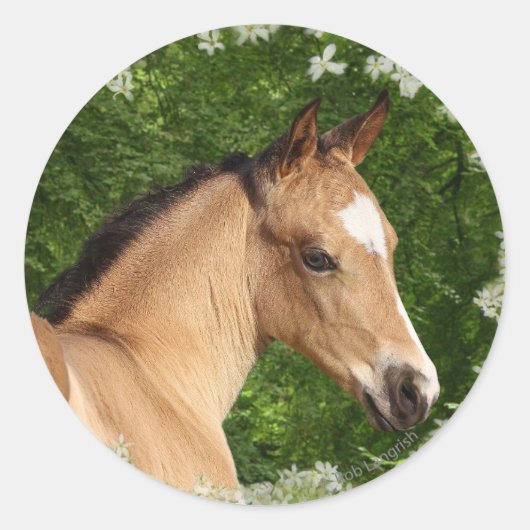 Fantasy Horses: Bloemen Ronde Sticker (Voorkant)