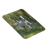 Fantasy Horses: Bluebell Wood Magneet (Rechterzijde)