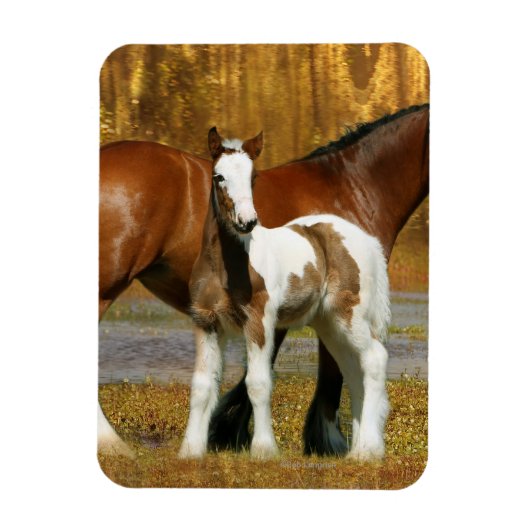 Fantasy Horses: Mare & Foal Magneet (Verticaal)