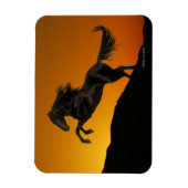 Fantasy Horses: Mountain Sunset Magneet (Verticaal)