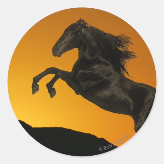 Fantasy Horses: Mountain Sunset Ronde Sticker (Voorkant)