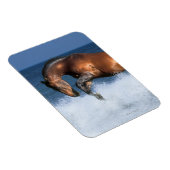 Fantasy Horses: Selle Francais en Zee Magneet (Rechterzijde)