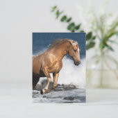 Fantasy Horses: Summer Splash Briefkaart (Staand voorkant)