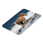 Fantasy Horses: Summer Splash Magneet (Linkerzijde)