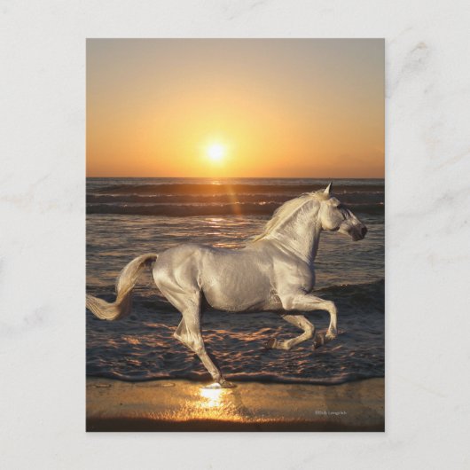 Fantasy Horses: Sunset Briefkaart (Voorkant)