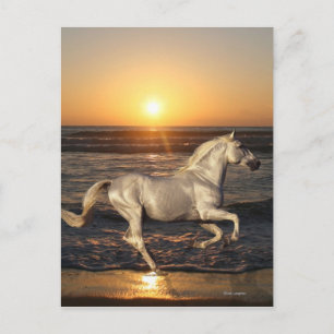 Fantasy Horses: Sunset Briefkaart