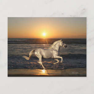 Fantasy Horses: Sunset Briefkaart