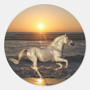 Fantasy Horses: Sunset Ronde Sticker