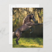 Fantasy Horses: Warrior Prince Briefkaart (Voorkant / Achterkant)