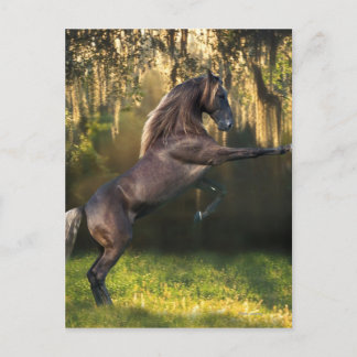 Fantasy Horses: Warrior Prince Briefkaart