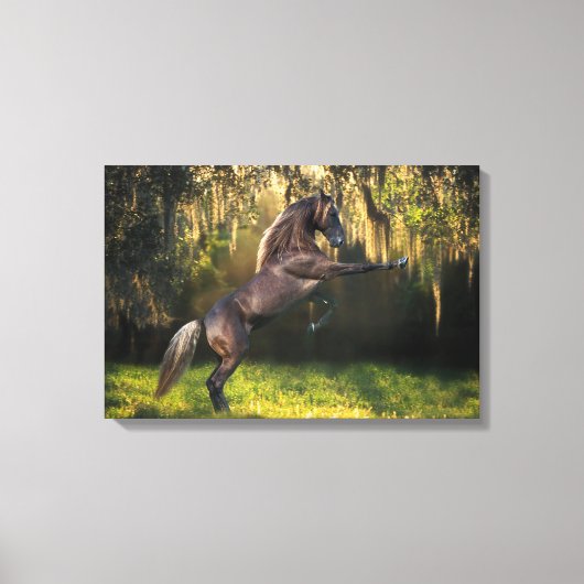 Fantasy Horses: Warrior Prince Canvas Afdruk (Voorkant)