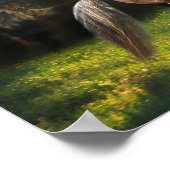 Fantasy Horses: Warrior Prince Poster (Hoek)