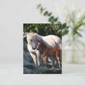 Fantasy Horses: Waterval Briefkaart (Staand voorkant)