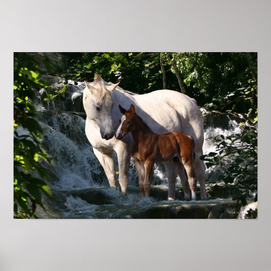 Fantasy Horses: Waterval Poster (Voorkant)