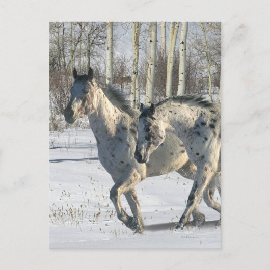 Fantasy Horses: Winter Wonderland Briefkaart (Voorkant)
